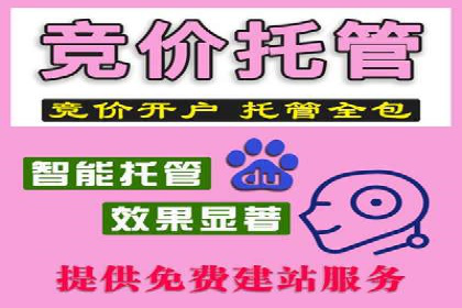 成功sem公司的广告优化经验
